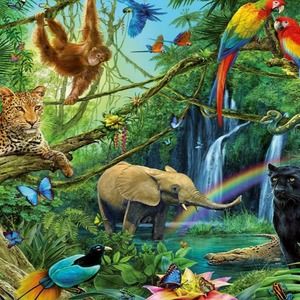 Meet your Posher, Katelyn